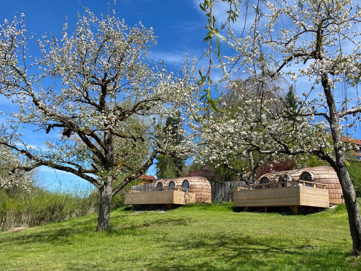 Hotel Iglucamping Allgaeu-Bodensee Wangen im Allgäu Esterno foto